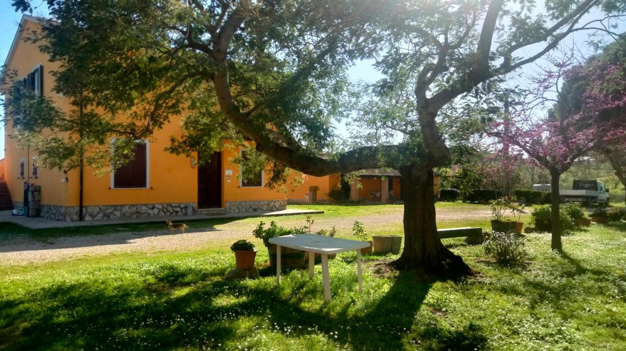 Agriturismo Da Remo Magliano in Toscana Ruang foto