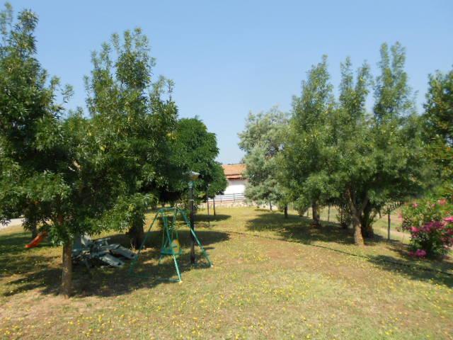 Agriturismo Da Remo Magliano in Toscana Bagian luar foto