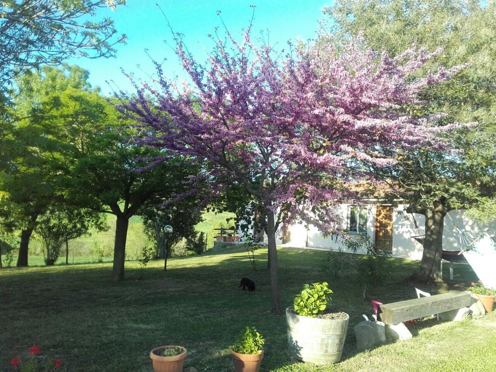 Agriturismo Da Remo Magliano in Toscana Bagian luar foto