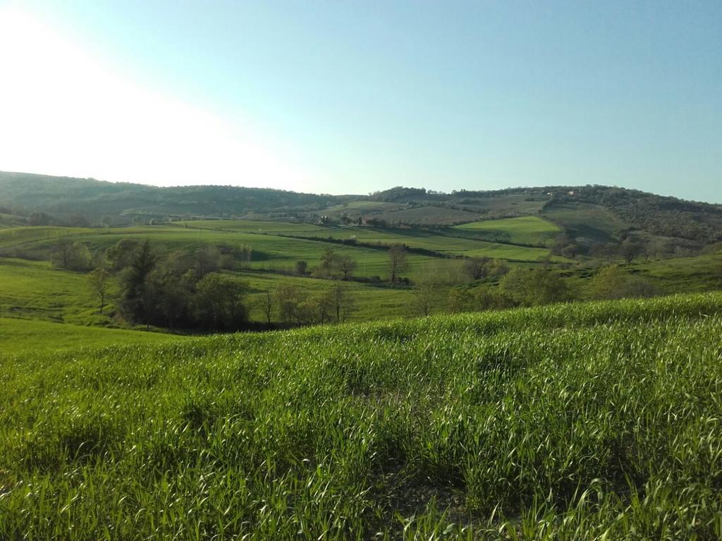 Agriturismo Da Remo Magliano in Toscana Bagian luar foto
