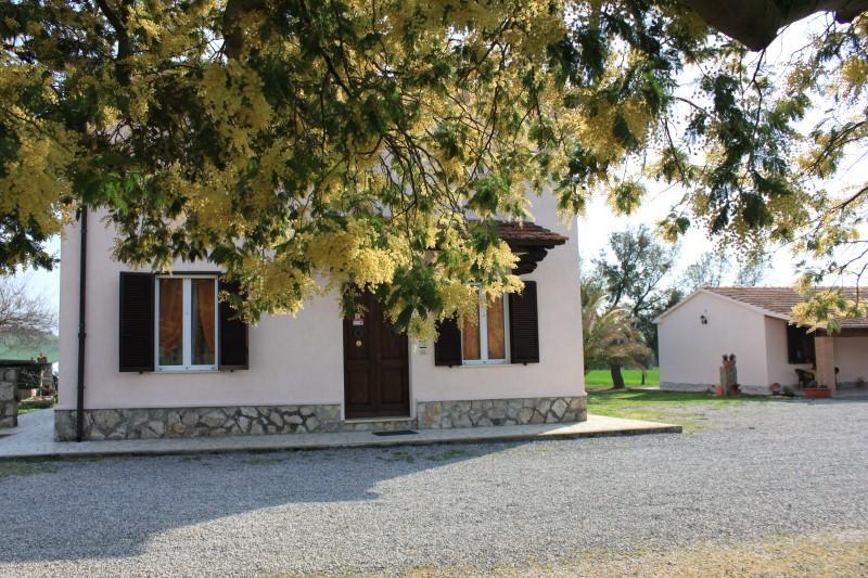 Agriturismo Da Remo Magliano in Toscana Bagian luar foto