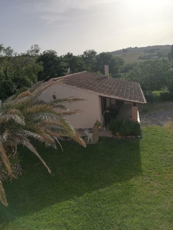 Agriturismo Da Remo Magliano in Toscana Bagian luar foto